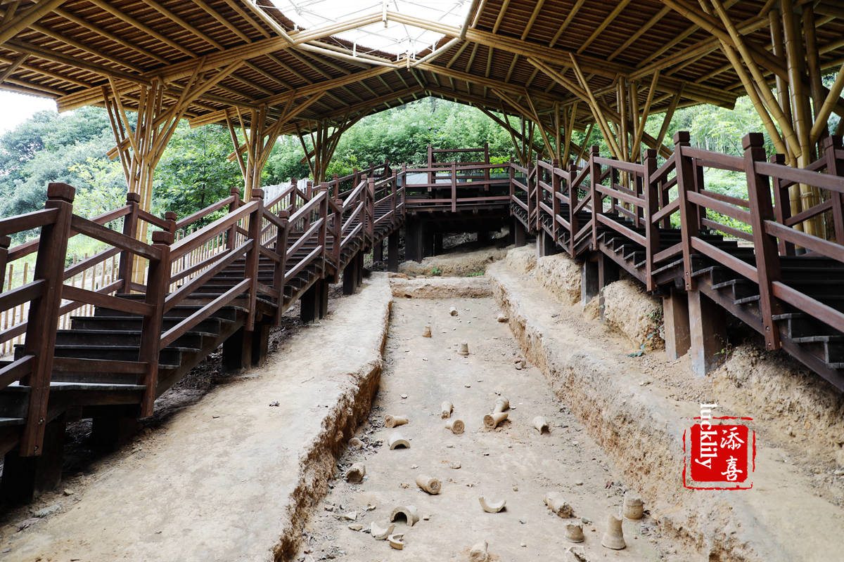 原创亲子旅行绍兴上虞诗画曹娥江荷花展荷花宴逛越窑摘葡萄吃海鲜