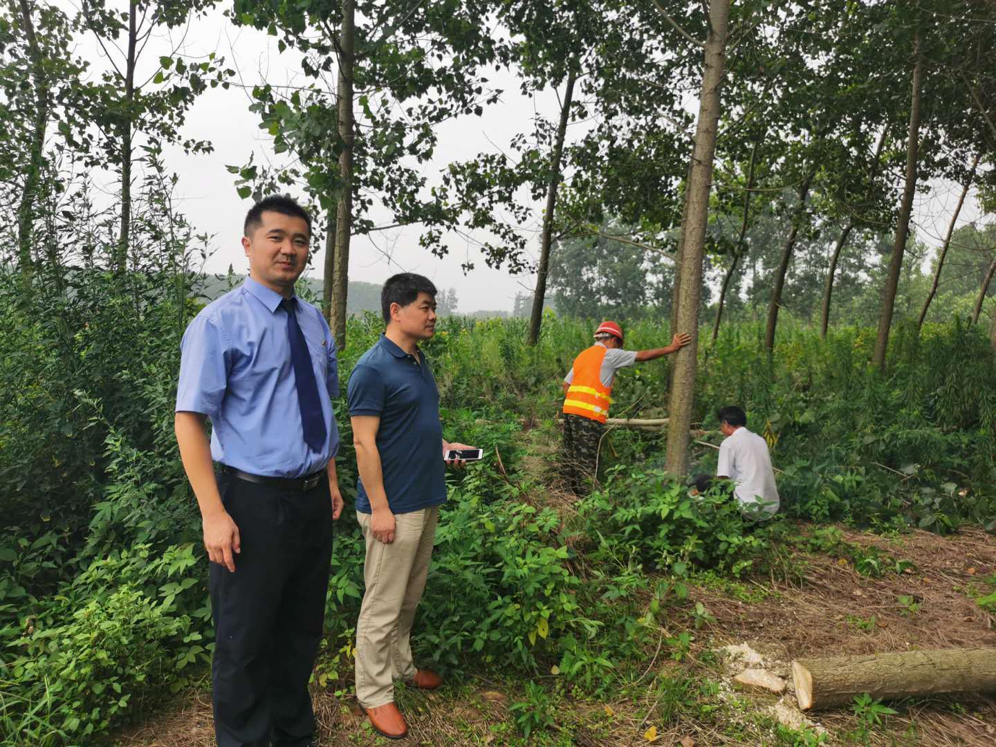 "检察官办事速度真快,办案效果好,两个来月就把占用耕地的树林砍伐了