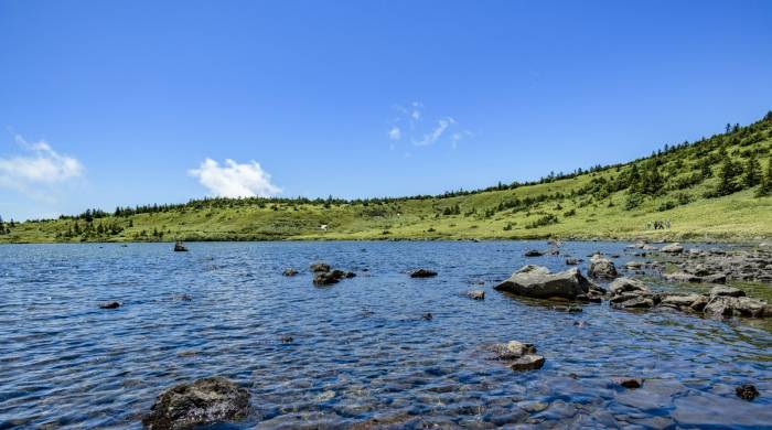 苏宁易购大卖场经营变阵，推合伙经营走轻资产路！-家电圈官网