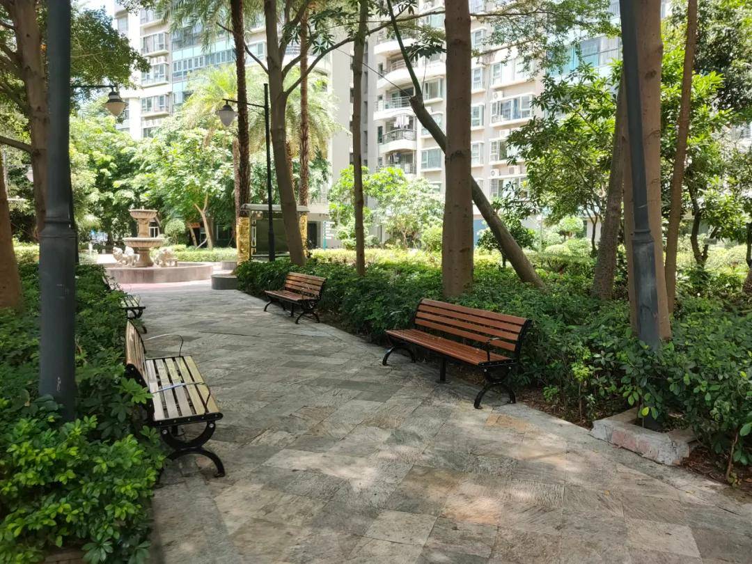 深圳顶级学区房购买攻略_湾畔