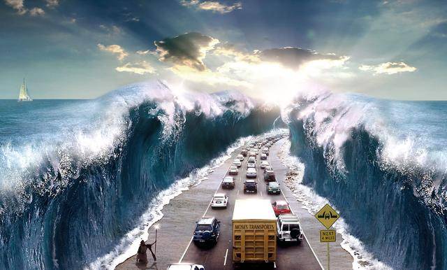 原创2011年日本海啸时被镜头抓拍到的神秘生物,全身白色,行动迅捷