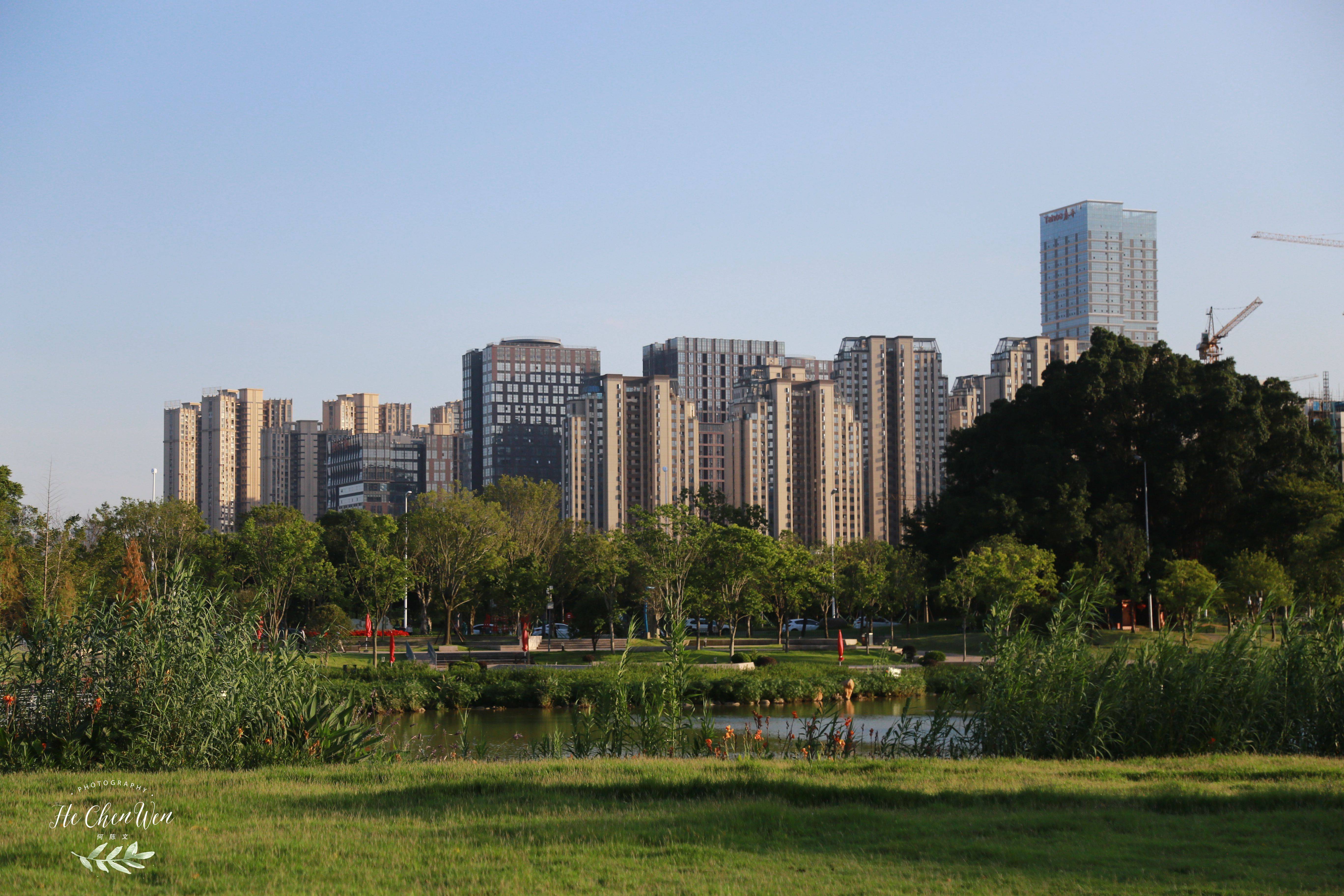 公园,这里采用"大树配草坪"的设计,两层圆弧状的步道"川"字型的草坪