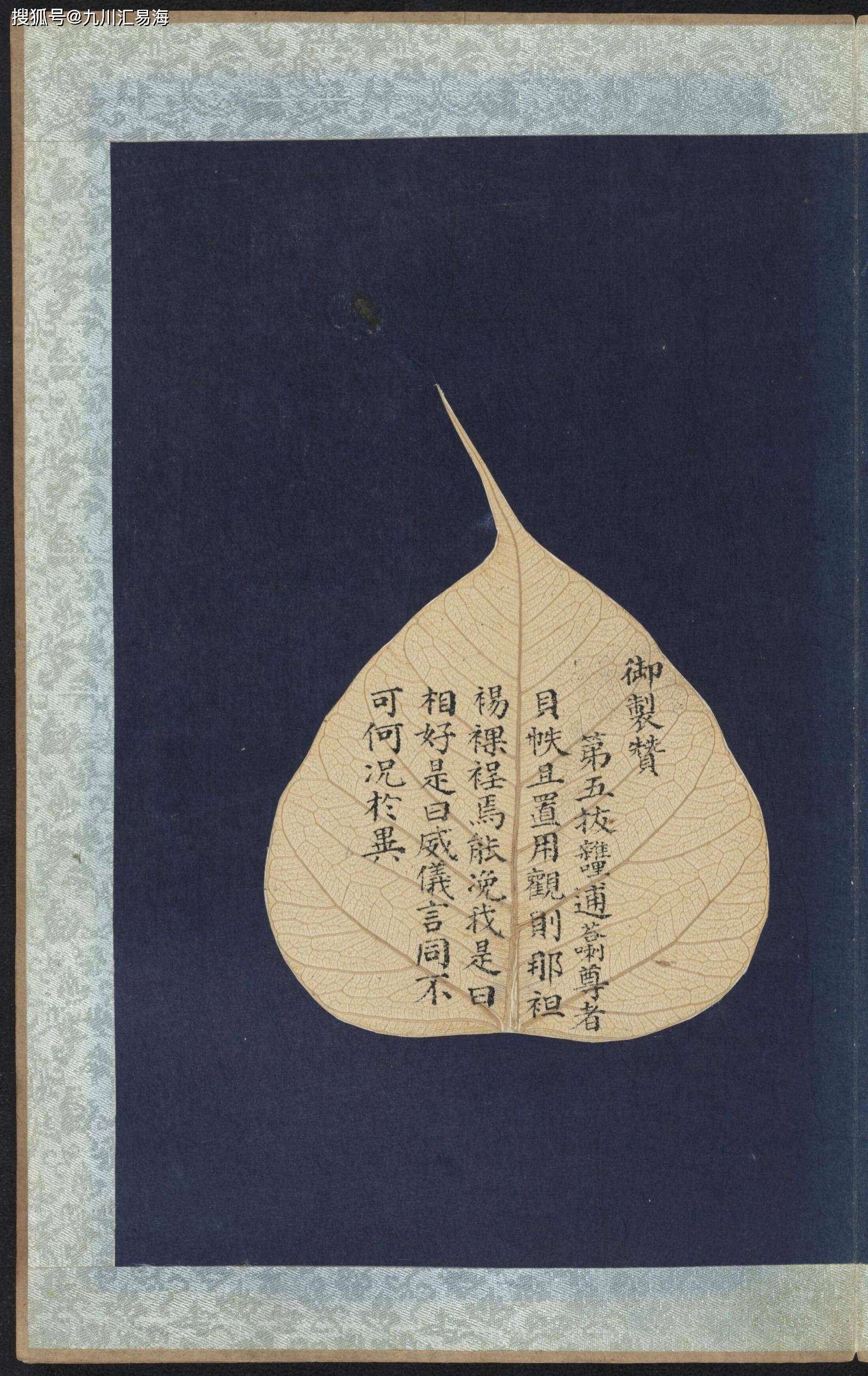 将菩提叶特殊处理后,再平铺在蓝色底纸上作画,多彩