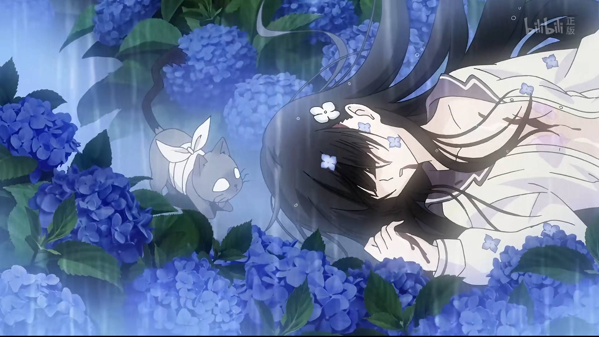 二次元|梅雨季的一道靓丽风景线——紫阳花!