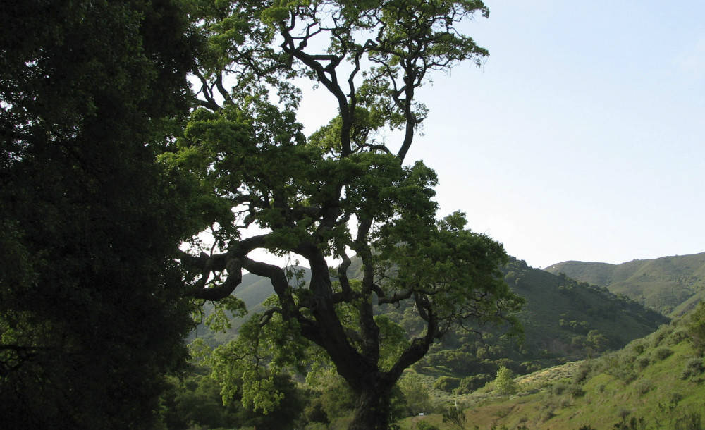 货品造句和解释_货品的例句有哪些 - 小孩子点读