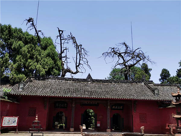 靖侯之坟冢;古木苍翠,阴森杀寒,树之长者,或数百岁,尤以祠堂柏木为秀