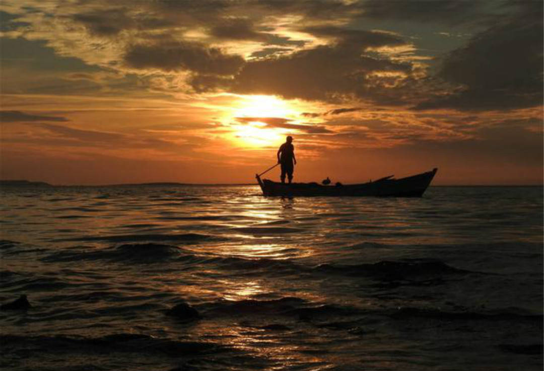 戴复古很有意境的一首诗,开篇两句有些平淡,最后两句写得很唯美