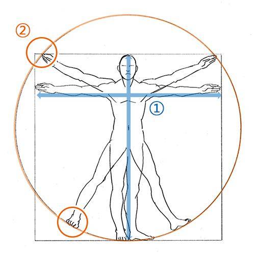 几分钟就能掌握人体比例 绘画初学小白也能学会的基础头身比画法