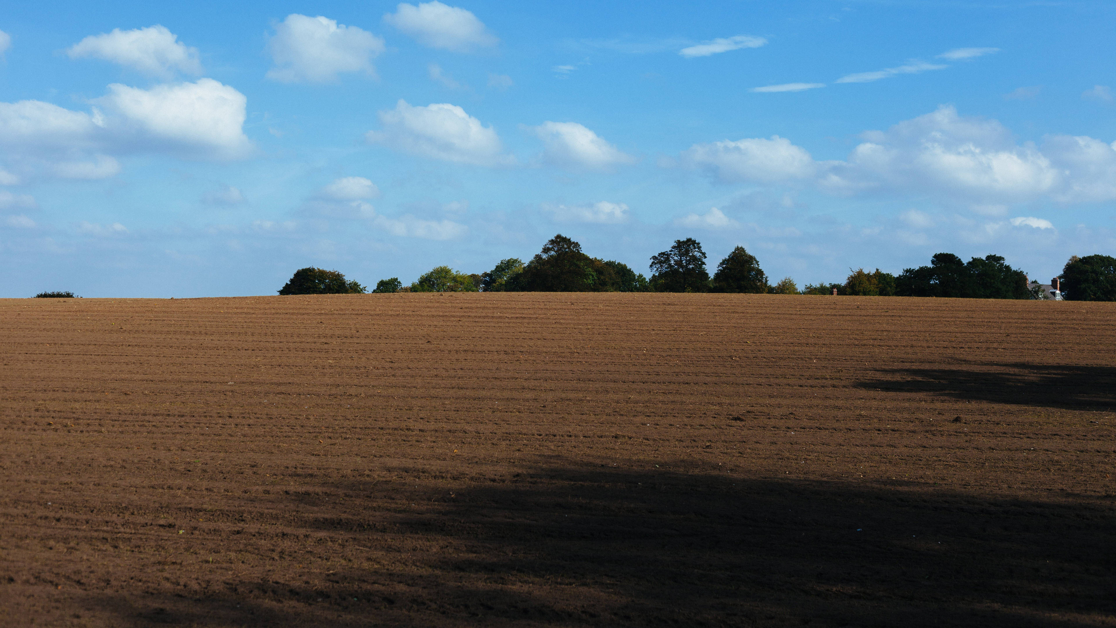 它哭了:不是重金属,却被当成重金属_土壤