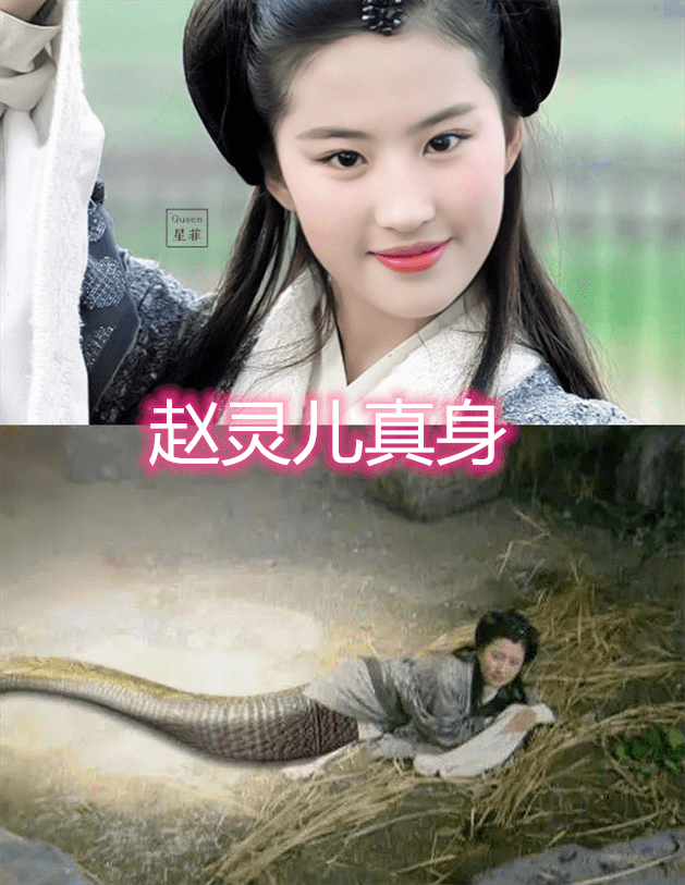 锦觅的真身,赵灵儿的真身,白素贞的真身,看到禁婆:真实_角色