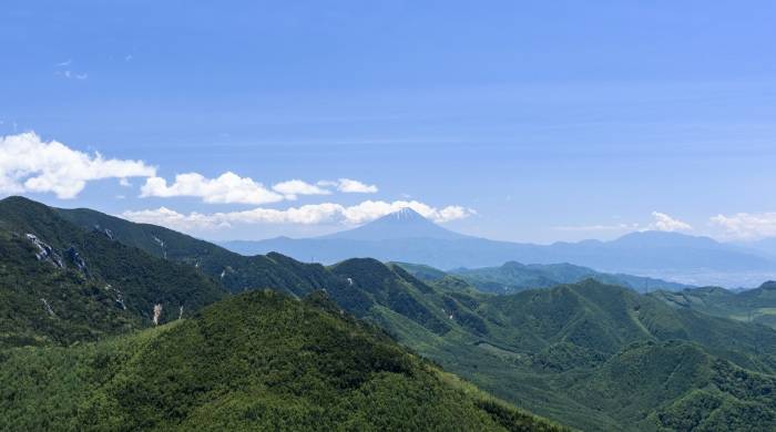 冰箱行业将迎来新选手,厨电业为何组团进军?-家电圈官网