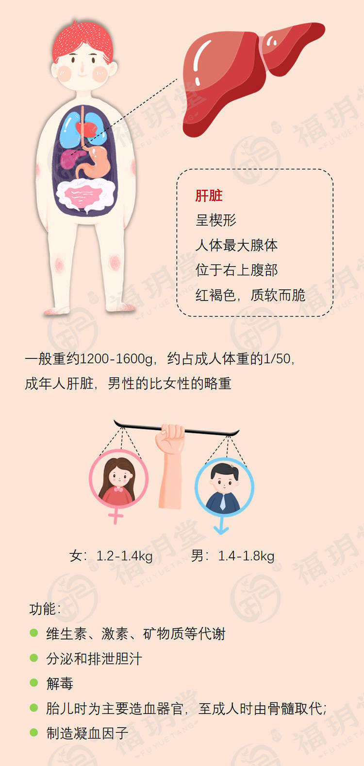 我国|小心“肝”呀！我国现有乙肝病毒携带者约7千万