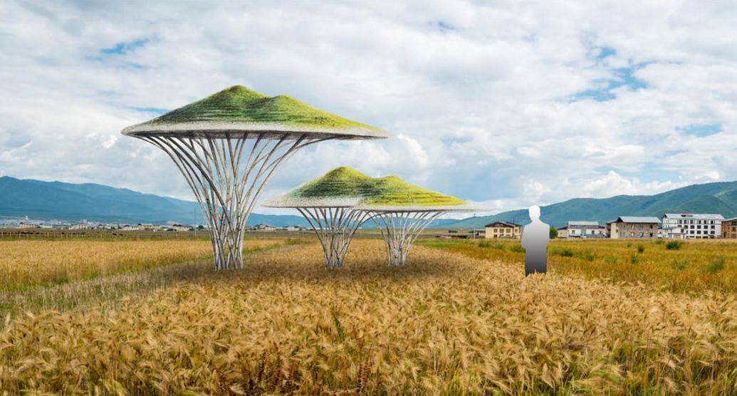 你喜欢的大地艺术在这里