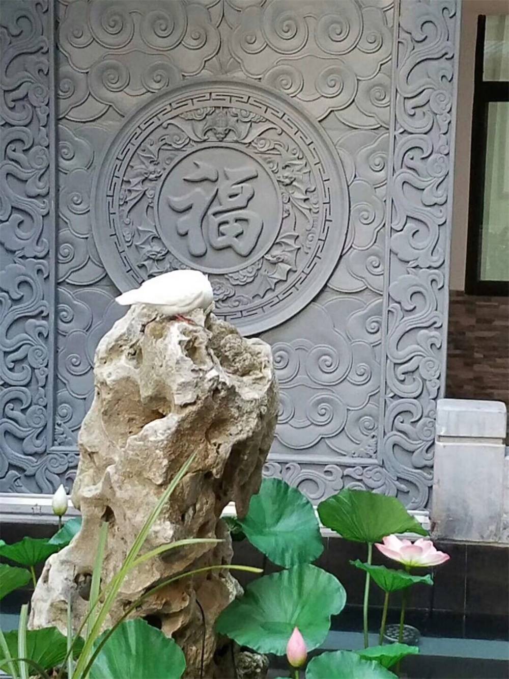 中式庭院,不仅是一处院落,更是精神的寄托