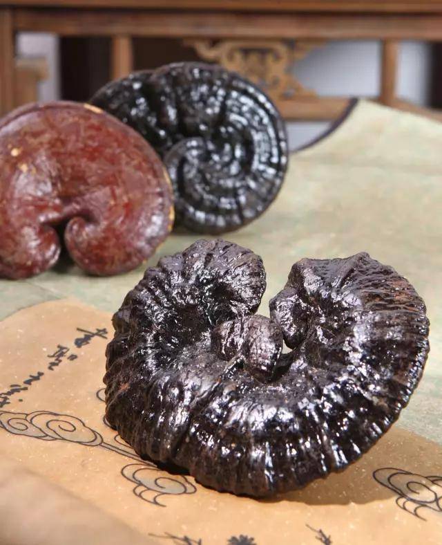 灵芝仙草,阴阳双补,怎么吃最好?_功效