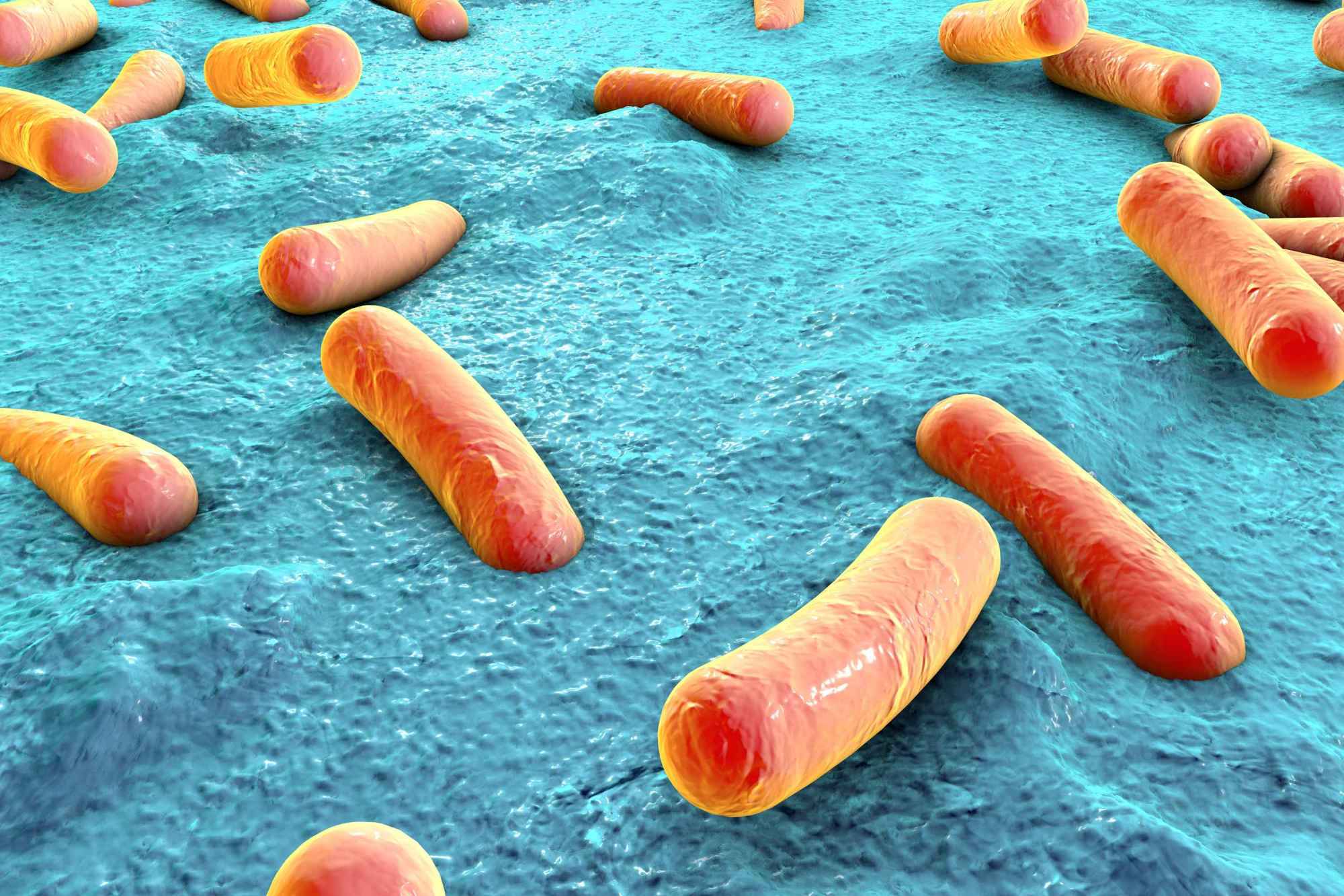 宝宝身上出现这样的小红点,家长别大意,最好还是去检查_细菌