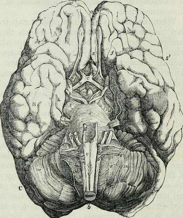 原创1945年,日本在九州大学对8名美飞行员,进行活体解剖
