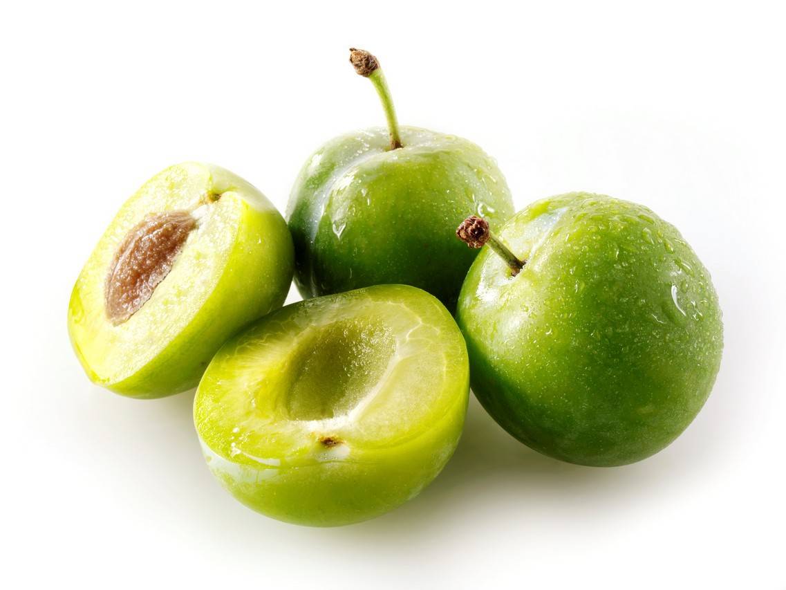 真全粮水果酒技术之李子酒的做法—胡星杰