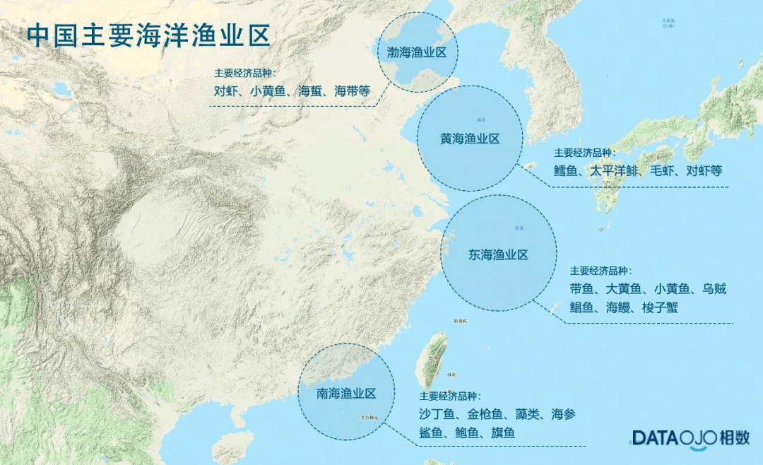 中国主要海洋渔业区划图