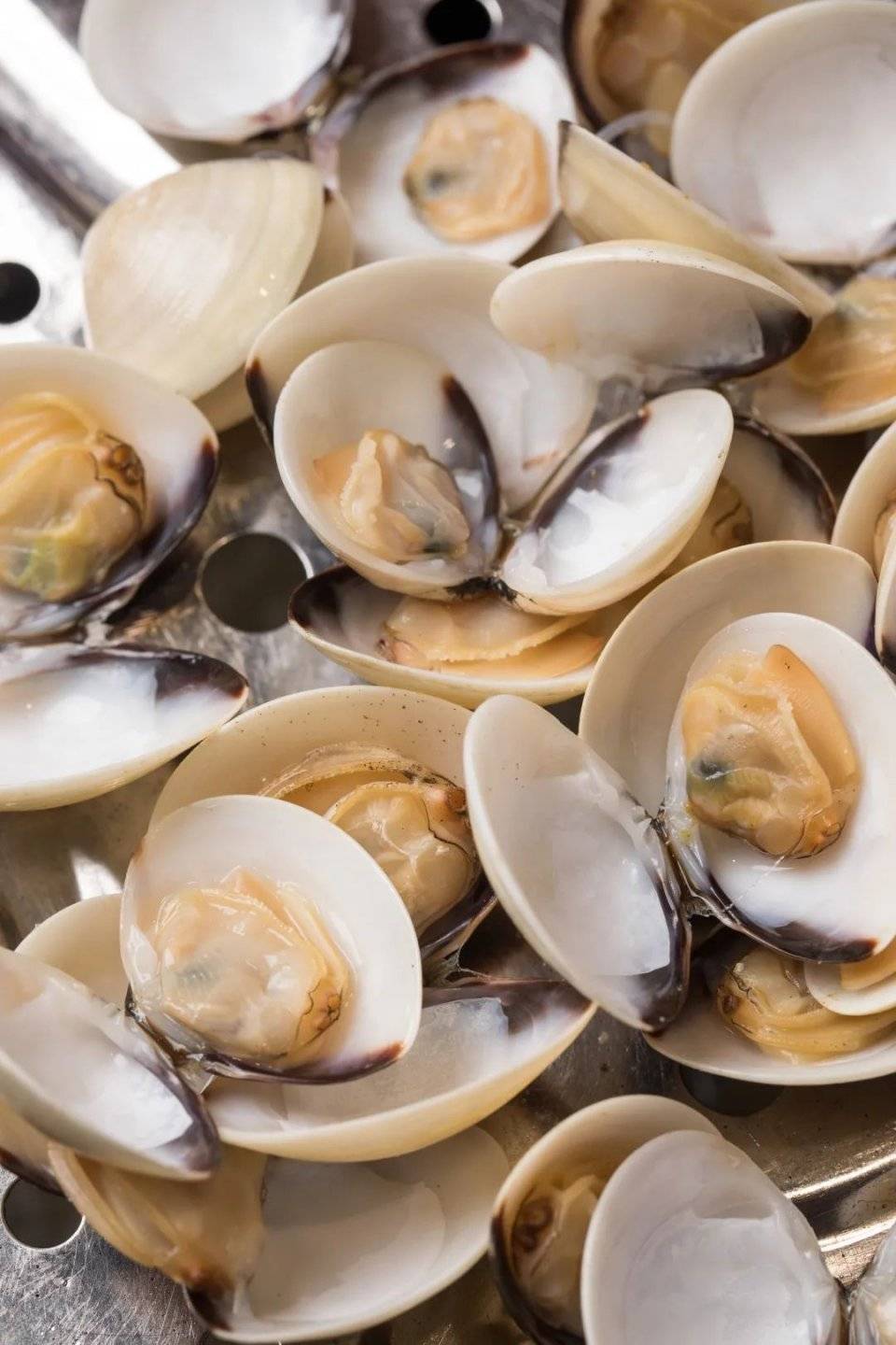 巨盆海鲜厚实鲍鱼扇贝蛏子王连潮汕人都夸