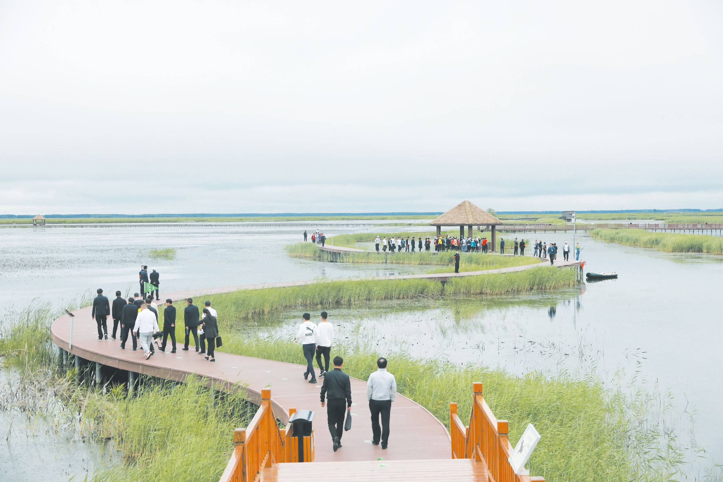 游湿地赏画卷 相约"醉"美粮都——三江平原湿地生态文化季拉开帷幕