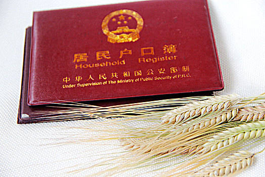 东莞入户整理大汇集:满足这些条件可以直接入户东莞!
