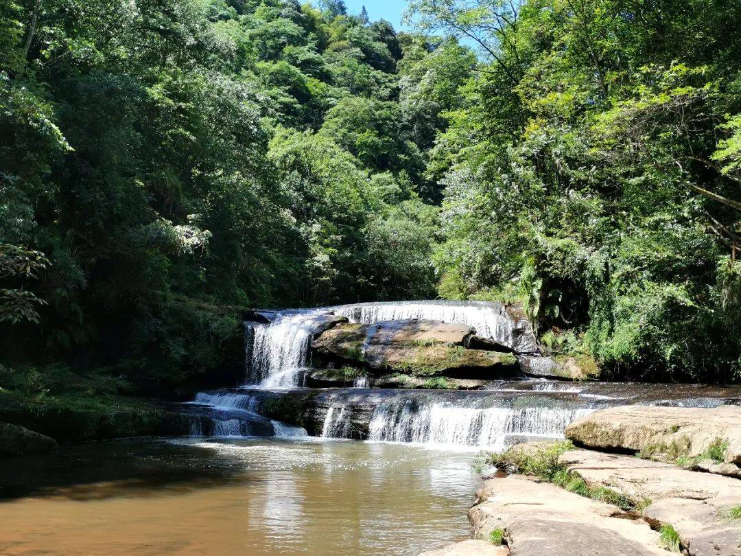 【方志四川61旅游】古蔺黄荆老林:休养度假避暑胜地