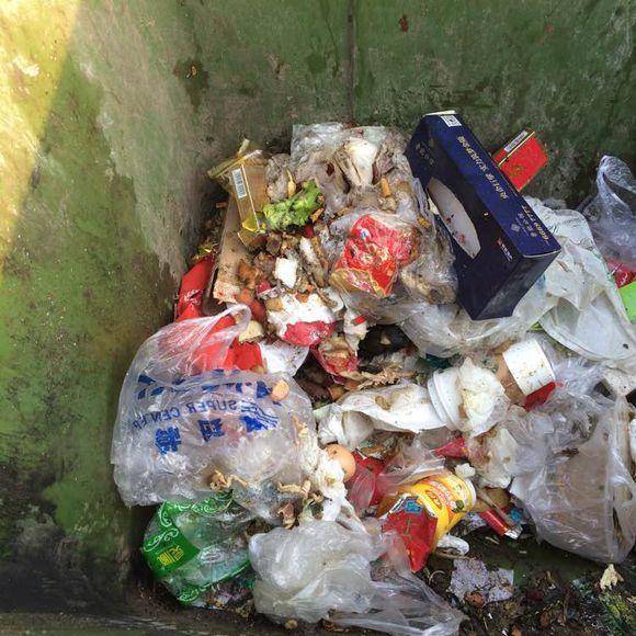 刚出生的狗狗在垃圾桶里蠕动着身体奄奄一息让人看得心酸