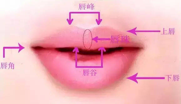 活了这么几十年的我,今天才知道居然是这种嘴型_手机搜狐网