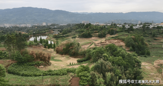 墓地風水寶地四川成都高山老龍吐嫩枝風水大師尋龍實拍下山草蛇穴