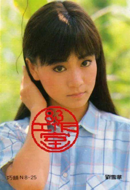 刘雪华又出演了《烟雨蒙蒙》,在剧中饰演美丽坚强的陆依萍,并创造80