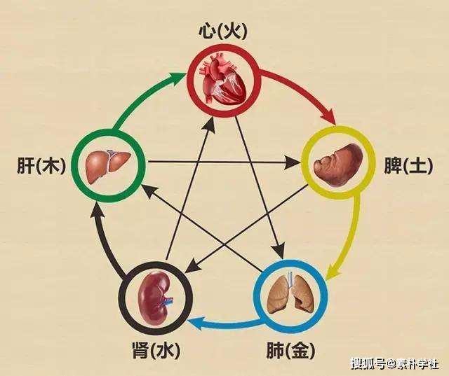 五臟均有元陰元陽,病則均有陰邪陽邪為患,一處陰陽之邪太過,必傷一處