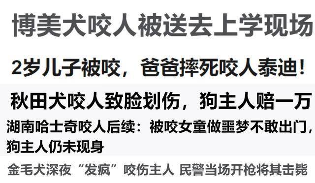 每年1000万人被狗咬伤爱狗人士狗能咬你但你不能打它