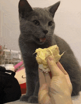 271_348竖版 竖屏gif 动态图 动图