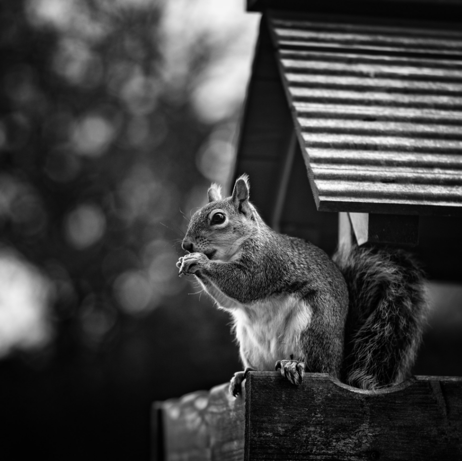 直面黑白的力量 | 徕卡m10 monochrom图集