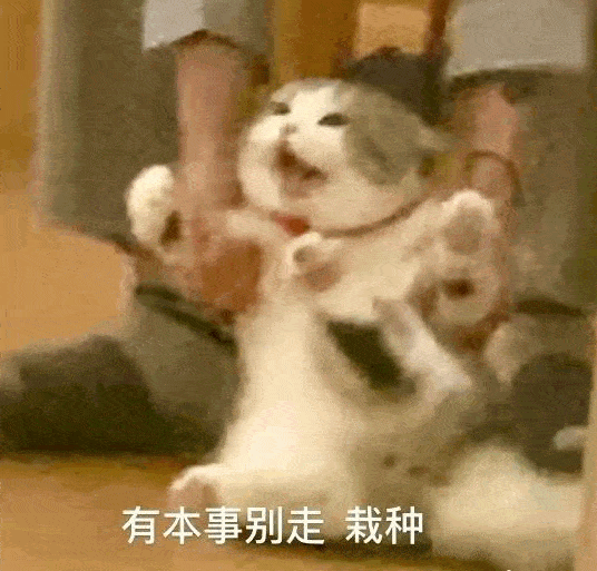 一组可爱系列的表情包:小白菜,今晚有空吗?七夕有空吗-搜狐大视野-搜狐新闻