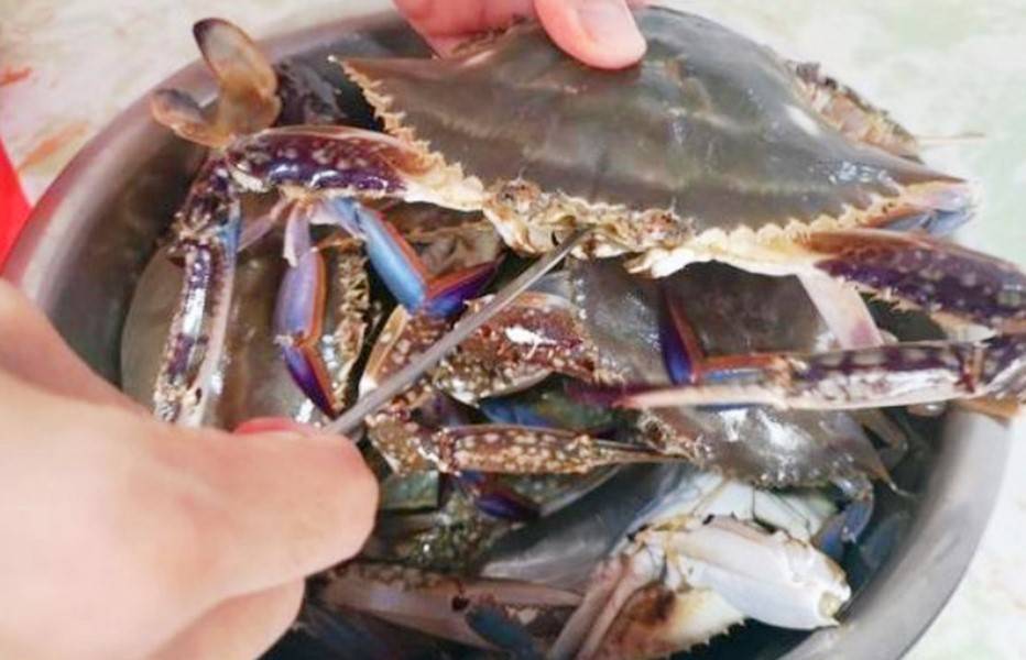 原创蒸螃蟹时,直接上锅蒸就废了,多做这1步,蟹肉鲜香入味不流黄