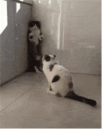 图片[19] - 【xizi被窝段子20200818】人生的旅程就是这样：用大把时间迷茫 在几个瞬间成长 - xizi