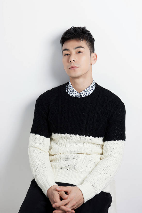 戴向宇的12年新加坡走红后回国难发展娶大9岁陈紫函才出名