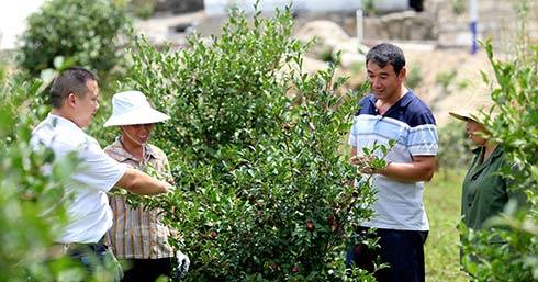 江西省赣州市崇义县乐洞乡高洞畲族村推进乡村振兴纪实