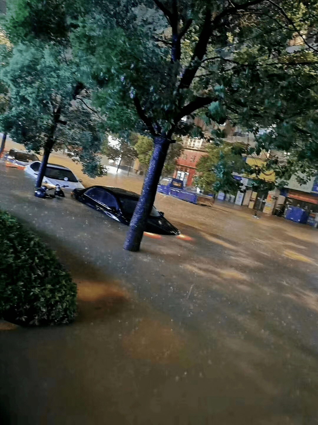 "下雨天,恰恰是看房的最佳时机!"_小区