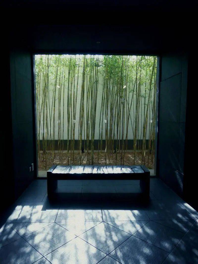 馆内光线昏昏,不经意抬头,忽见前方一面落地窗.窗外,是根根修竹,掩