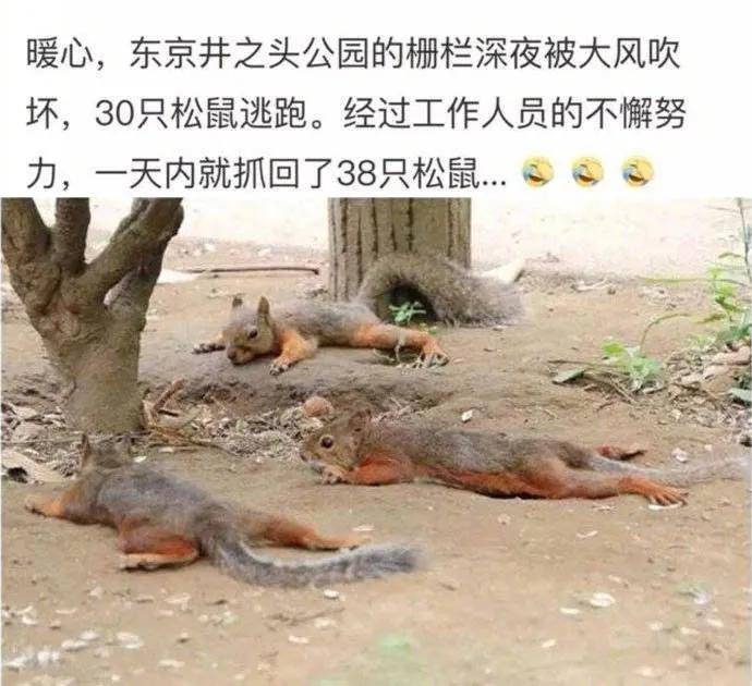 图片[16] - 【xizi被窝段子20200820】给你东西你得珍惜 特别是脸 - xizi