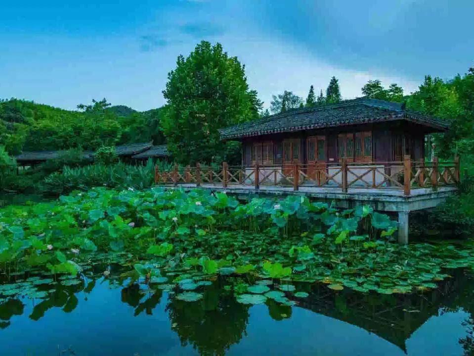 炎炎夏日躲进毛岙来避暑!慢半拍的"山居日子",才是生活!