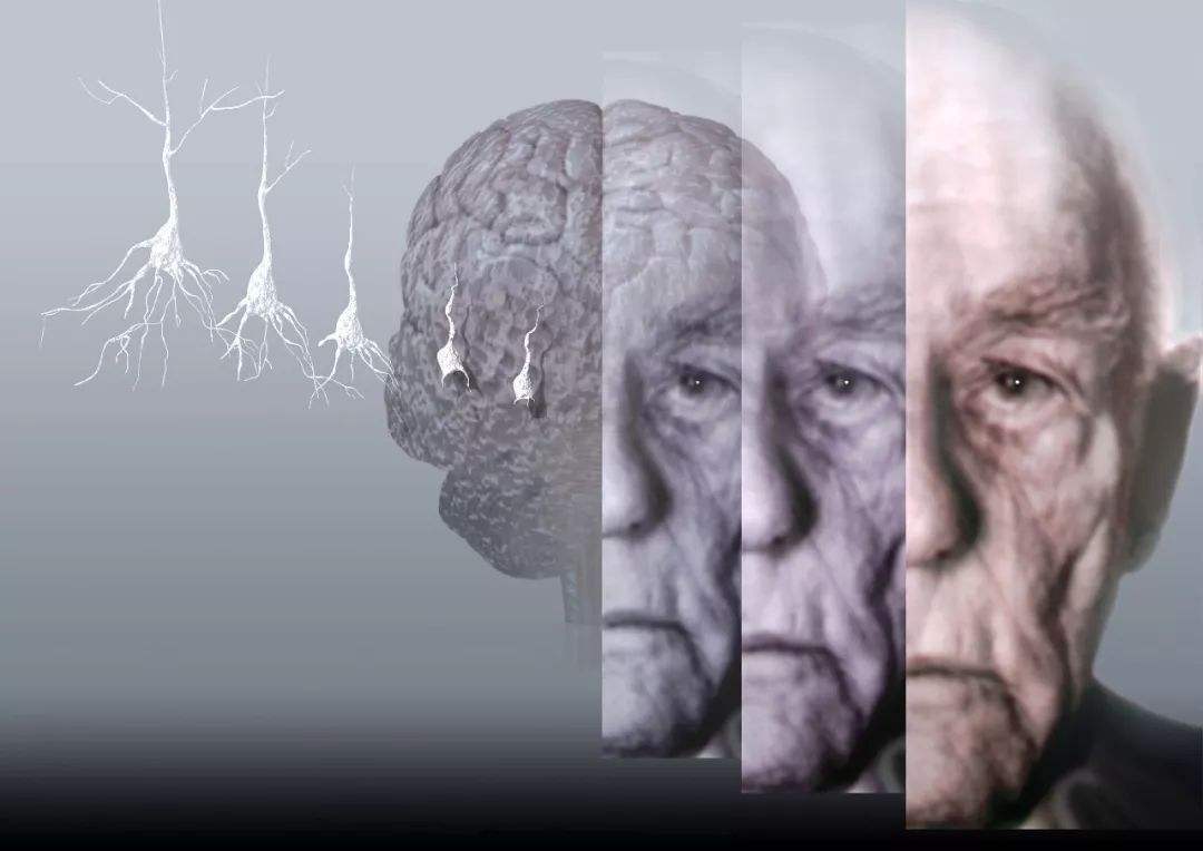 龙虾能活140年,圆蛤能活507年,人类平均寿命还能往上拔一拔吗?