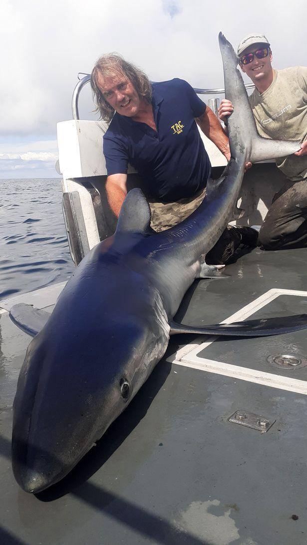 他花了大概一个半小时才把它拖上来,我们发现是青鲨就用卷尺量它的