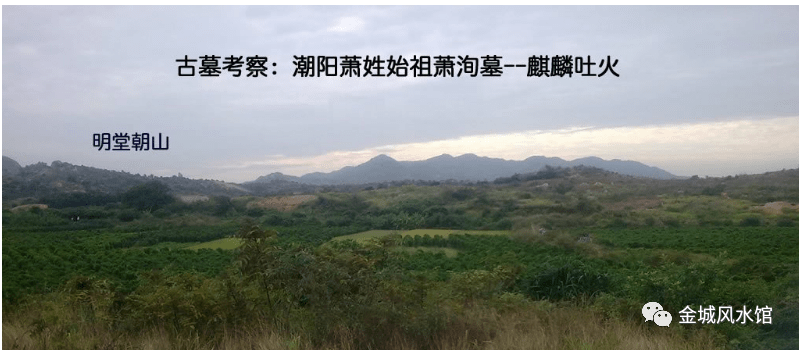 原创刘金城广东潮阳著名风水麒麟吐火之萧洵墓解析