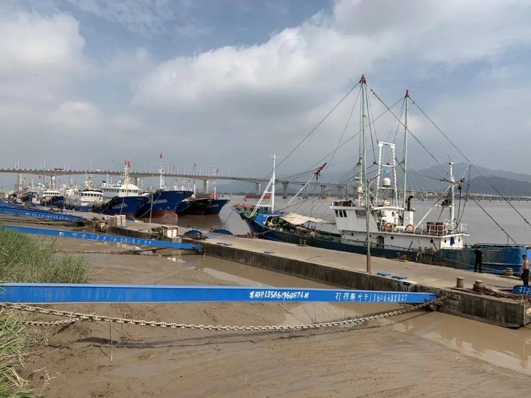 海浪橙色預警!椒江至大陳航線停航,漁船陸續進港或進入安全海域避風