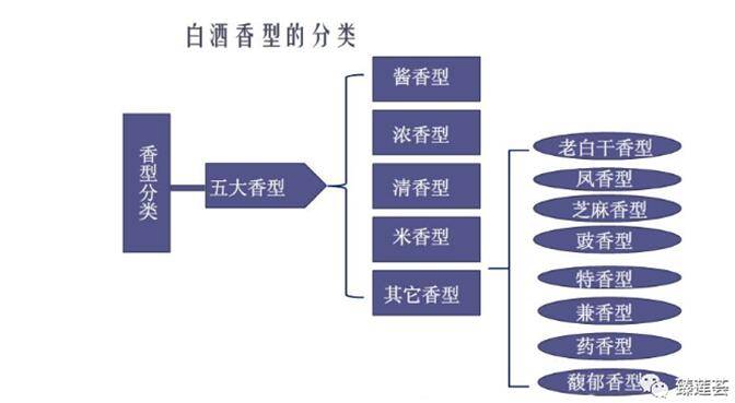 值得收藏百花齐放的白酒香型