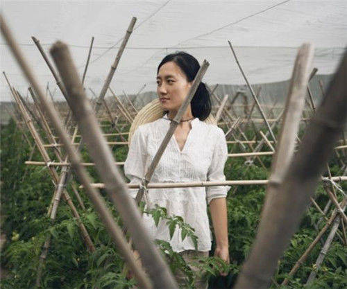 清华女博士石嫣:隐居山林11年,靠种田年入800万,父母已认不出